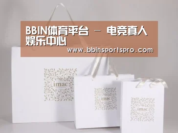 项目名称十一