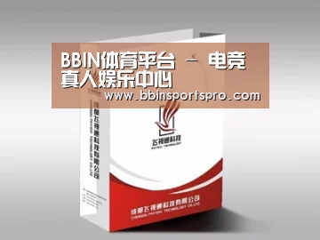 项目名称十三