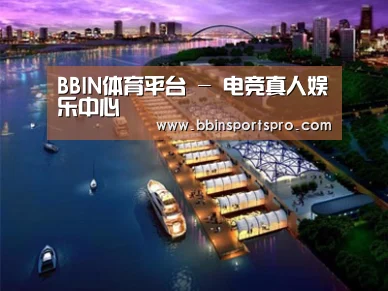 案例展示八