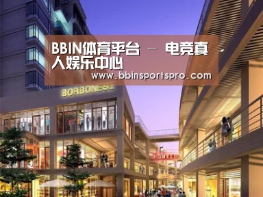 案例展示一