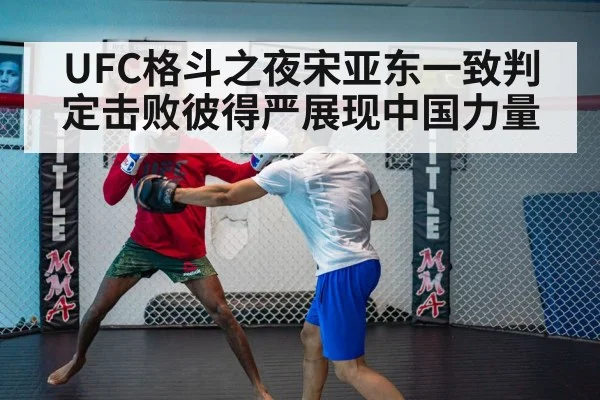 UFC格斗之夜宋亚东一致判定击败彼得严展现中国力量